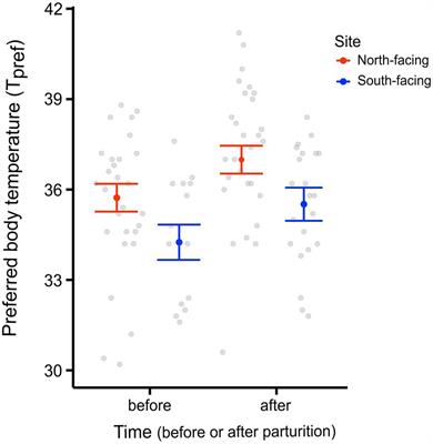 How do ectotherms perform in cold environments? Physiological and life-history traits in an Andean viviparous lizard